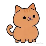 线咪 · 眨眼